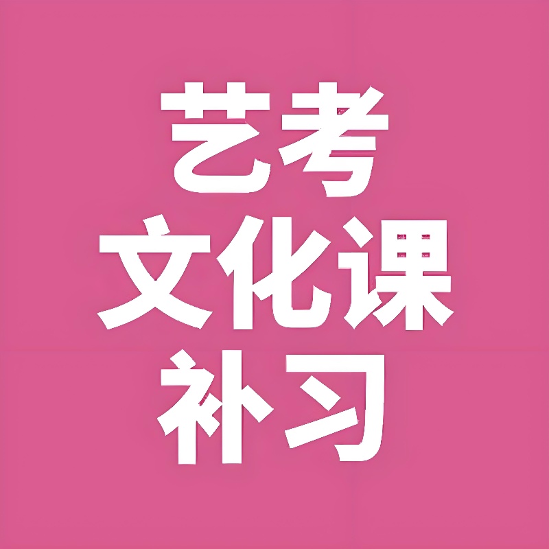 艺考文化课辅导