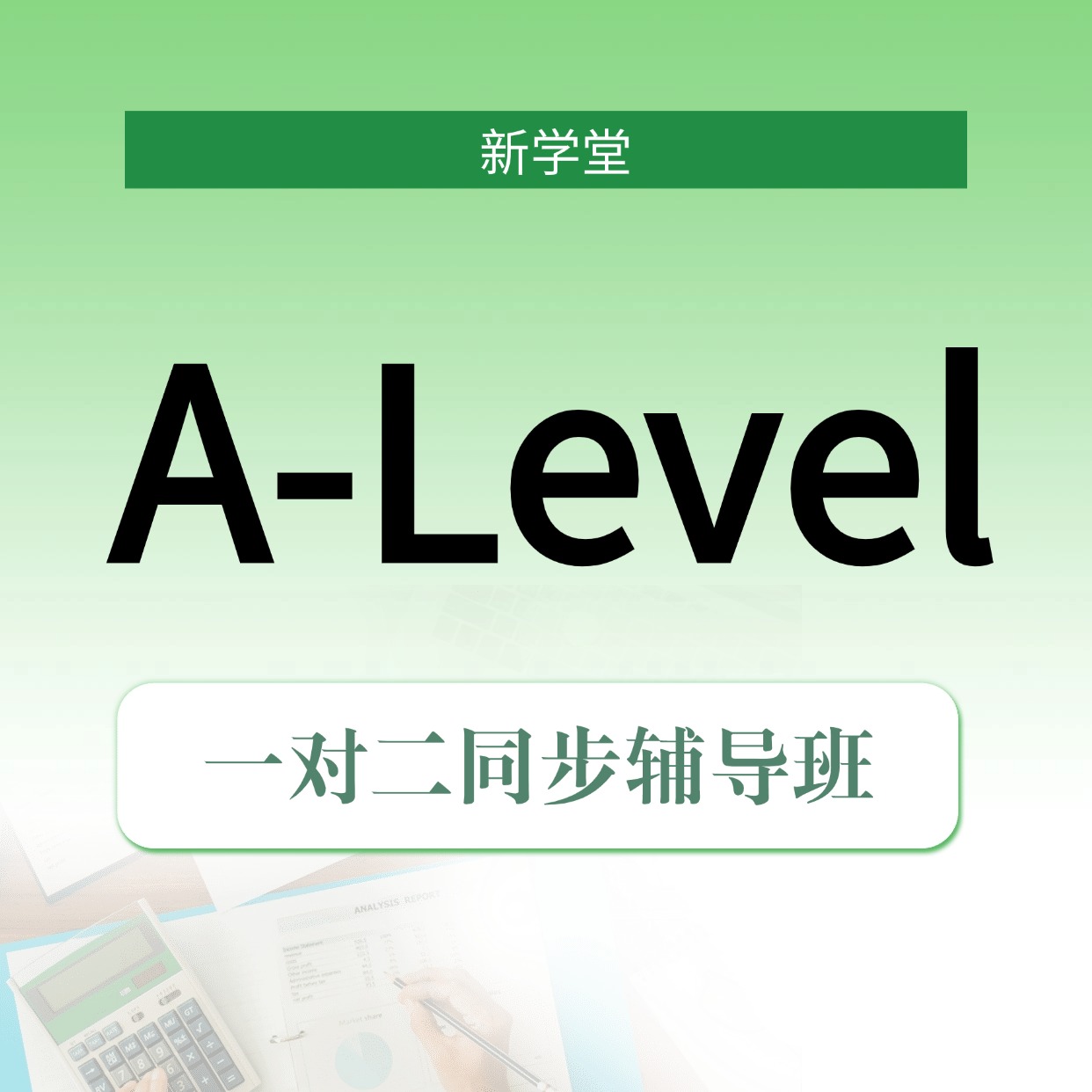 新学堂 A-Level 一对二同步辅导班