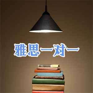 厦门雅思一对一