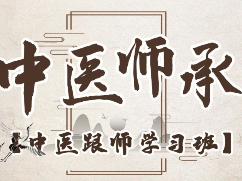火爆！山东中医师承培训排名精选一览