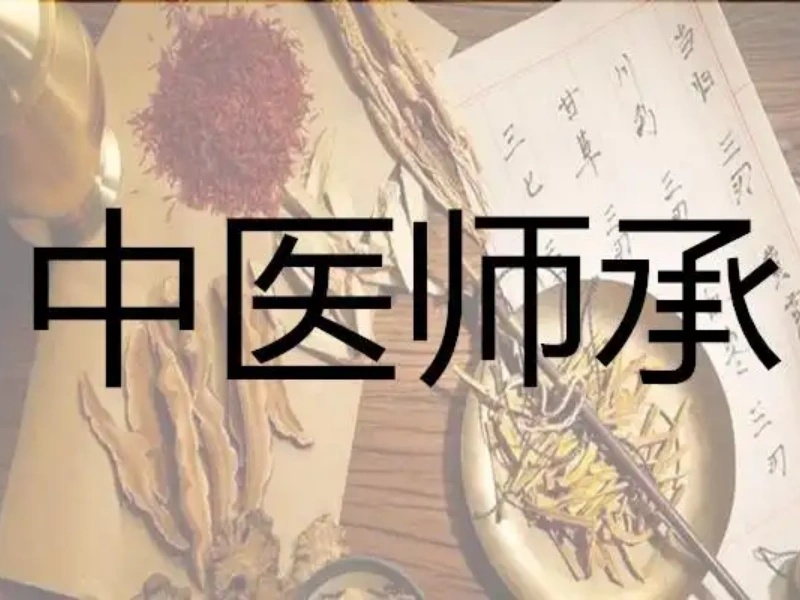 山东中医师承培训学习氛围前九机构一览，沉浸式学习