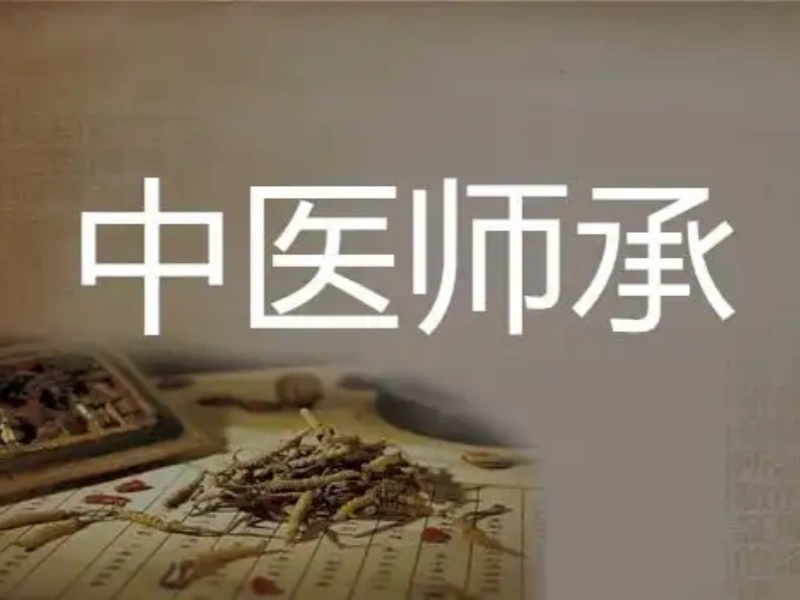 山东中医师承培训机构靠谱程度前八盘点一览，选机构不踩雷