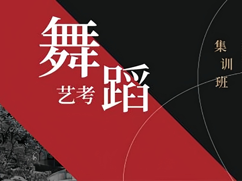 武汉舞蹈艺考培训机构前十热推一览