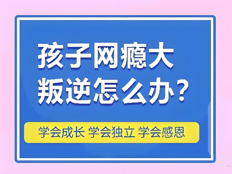 昆明青少年网络成瘾干预费用 - 认知疗法达标率 91%