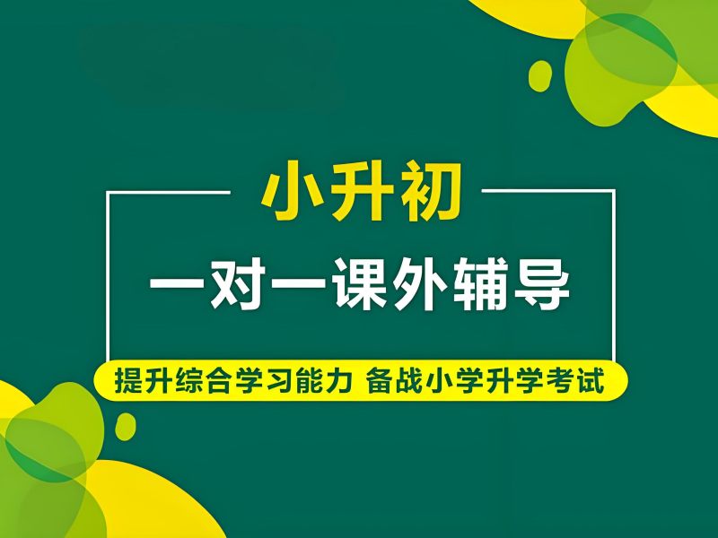 武汉小升初师资力量 - 黄冈中学团队 + 走读寄宿可选