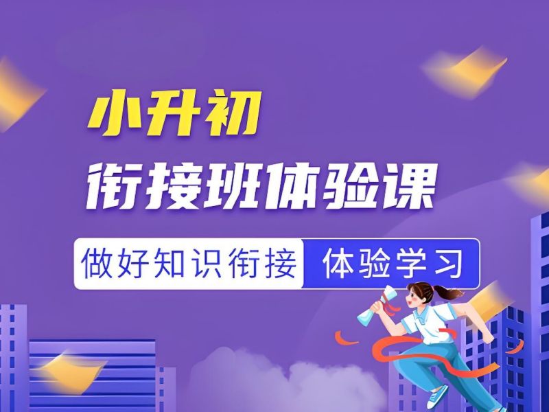 武汉小升初一对一辅导价格 - 个性化教学 + 学情诊断报告