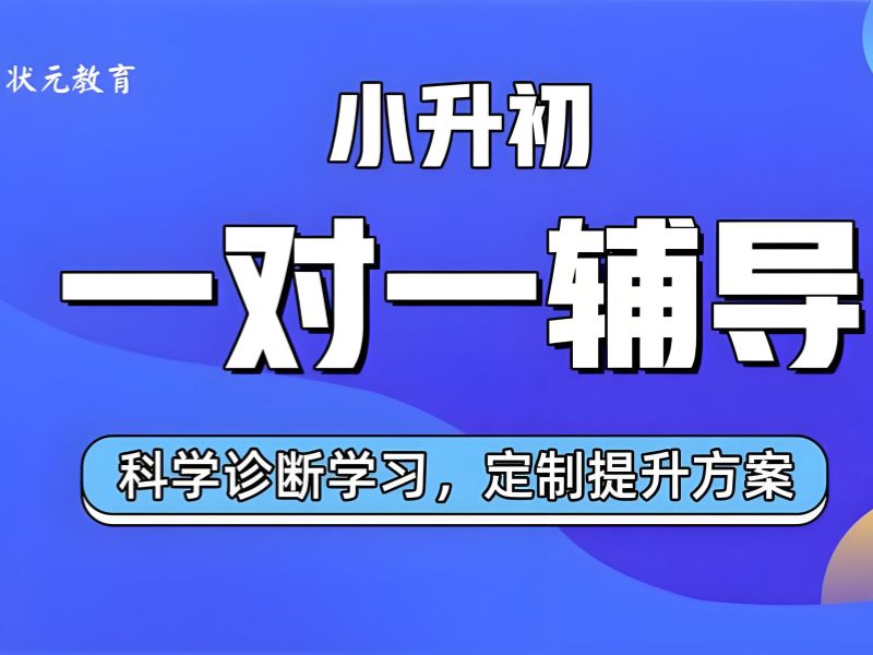 武汉小升初补习班哪家好 - 名校师资 + 免费试听课程