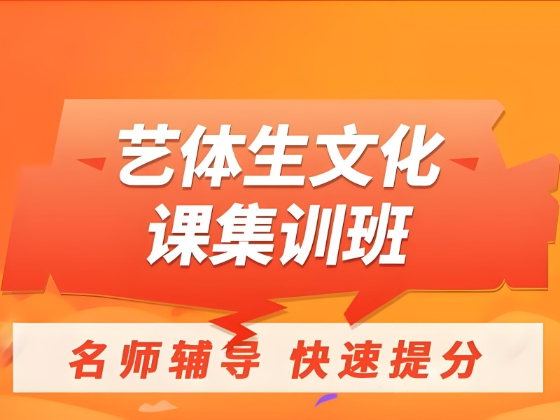 成都艺考文化课集训提分方案-小班教学真题汇编