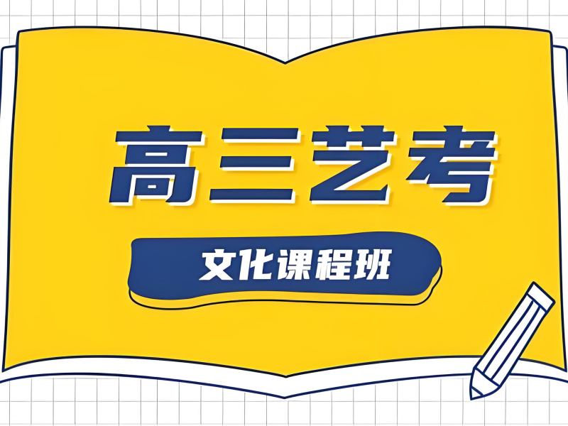 成都艺考文化课辅导冲刺 - 双师伴学涨分 45+