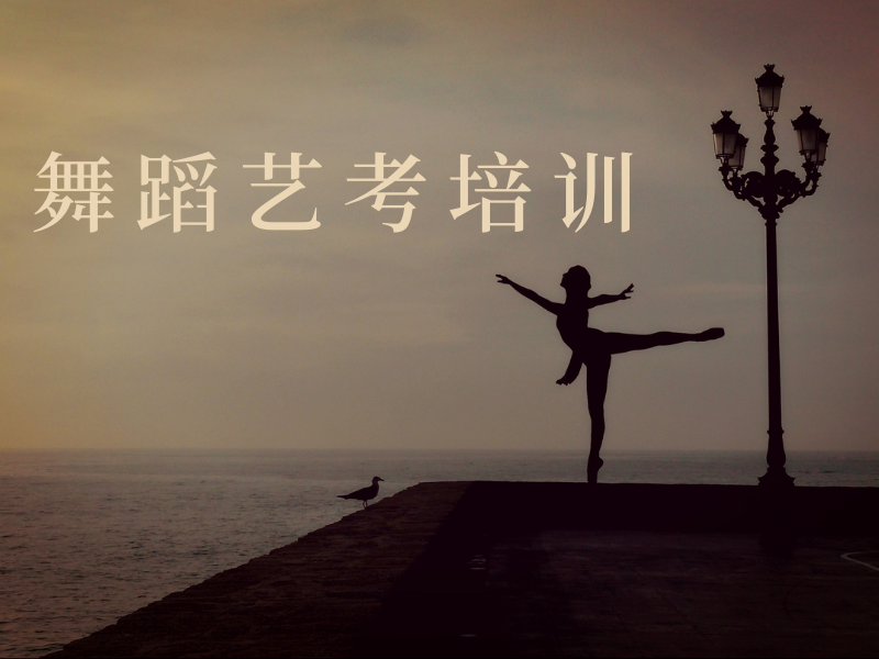 武汉舞蹈艺考集训费用对比 - 协议退费 + 封闭校区