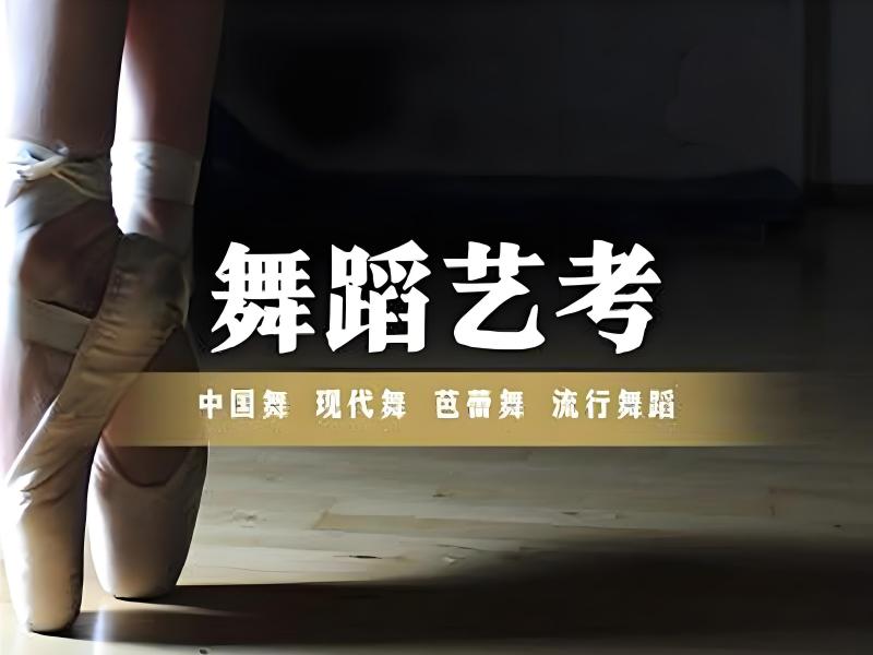 武汉舞蹈艺考集训退费政策 - 协议保障 + 真题汇编