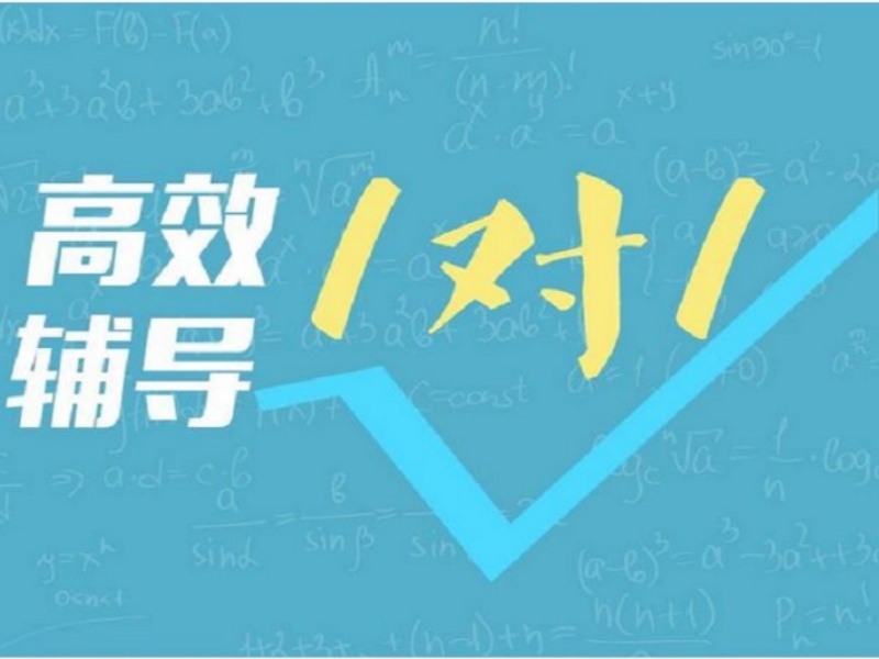 武汉高中一对一辅导课程-个性化方案涨65分