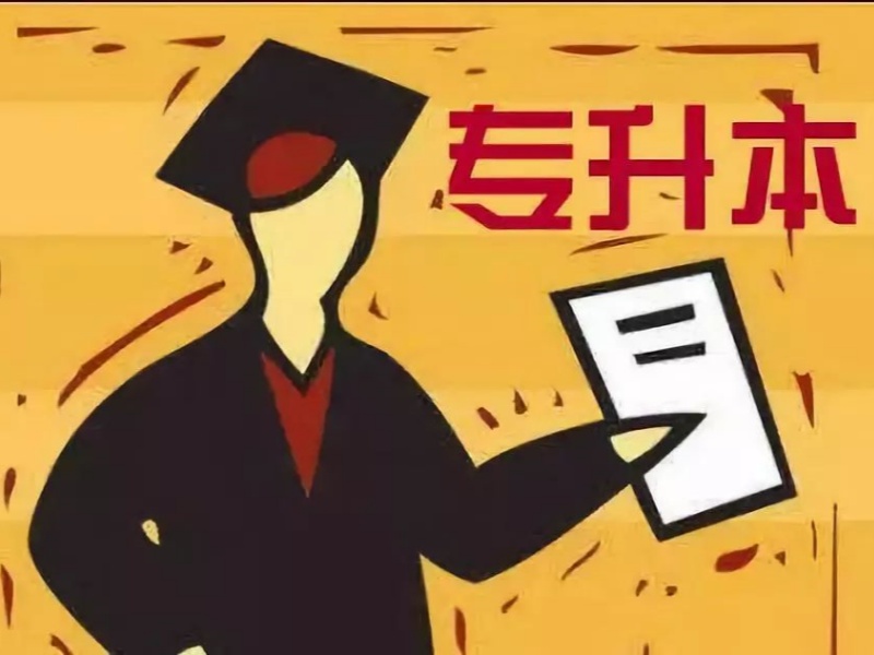 合肥专升本冲刺班前五，零基础如何选择？