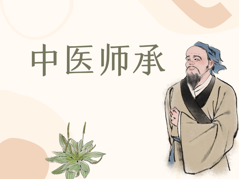 山东中医师承机构TOP5推荐，零基础如何报考师承培训？