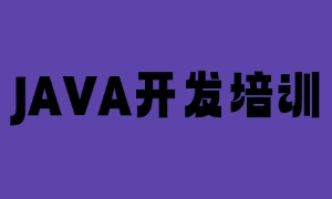 2025 郑州 JAVA 培训机构 TOP3 一览：线上直播课怎么选机构？