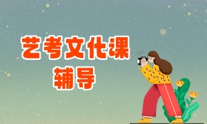 2025 武汉艺考文化课培训机构 TOP3 一览：一对一复读生有优惠吗？
