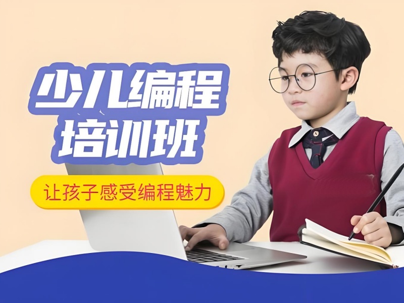 杭州少儿编程培训前四！初中生编程有必要学吗？