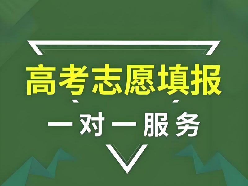 天津前 6 志愿填报培训怎么挑？家长学生共学