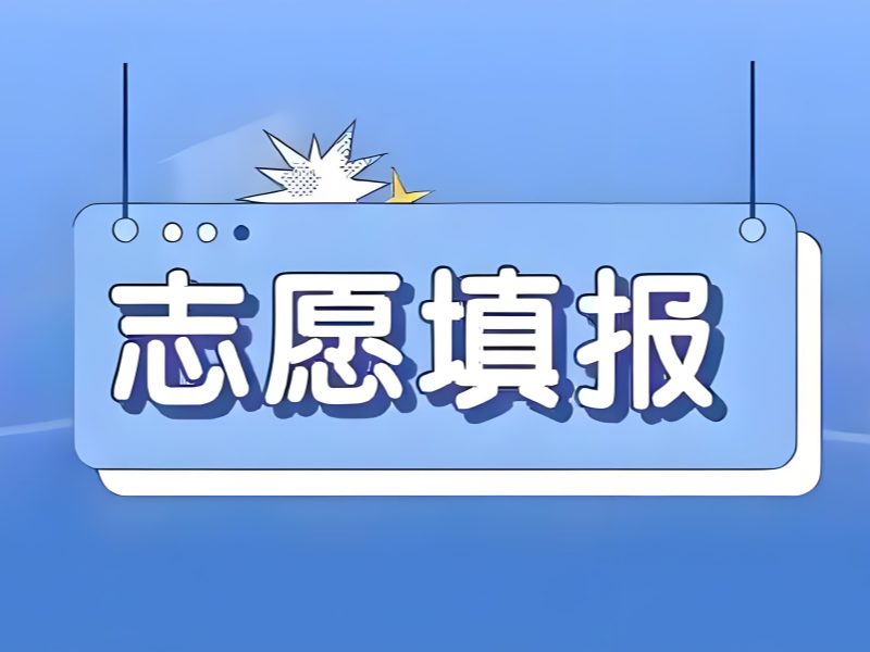 天津 TOP4 志愿填报指导有哪些推荐？专业规划