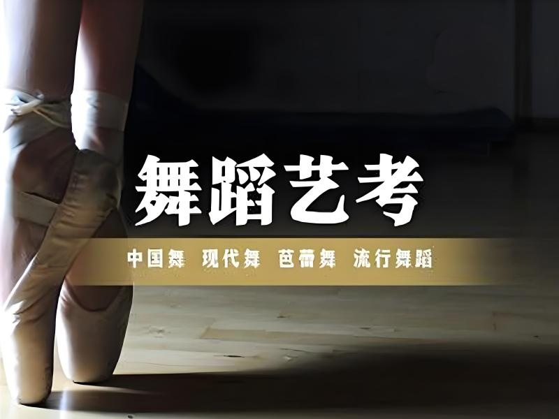 武汉舞蹈艺考培训机构前五哪家适合？技巧提升生