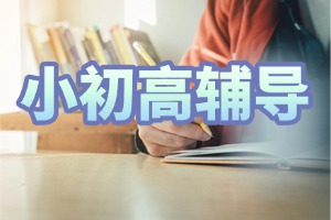 2025 成都小初高辅导机构 TOP4 一览，小学作文辅导哪家更合适？
