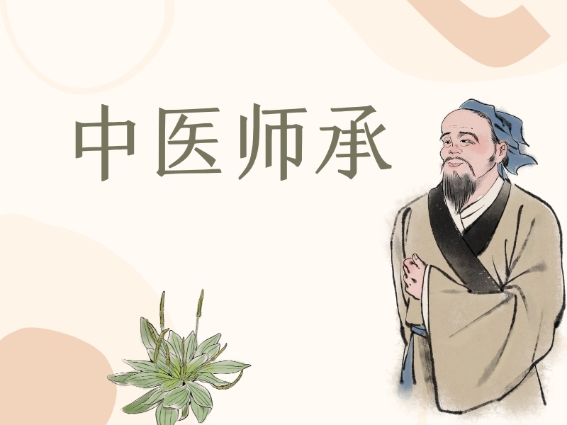 2025 西安中医师承 5 年 3 年区别？中医师承培训班 TOP4 排名一览