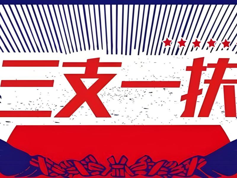 2025 合肥三支一扶学啥？三支一扶培训 TOP6 排名一览