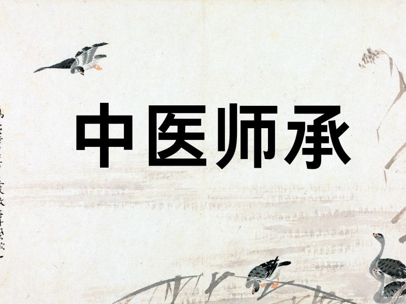 2025 山东学中医师承什么流程？中医师承培训前三排名一览