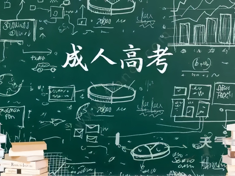 2025合肥成人高考培训费用多少钱？成人高考培训机构TOP3排名一览