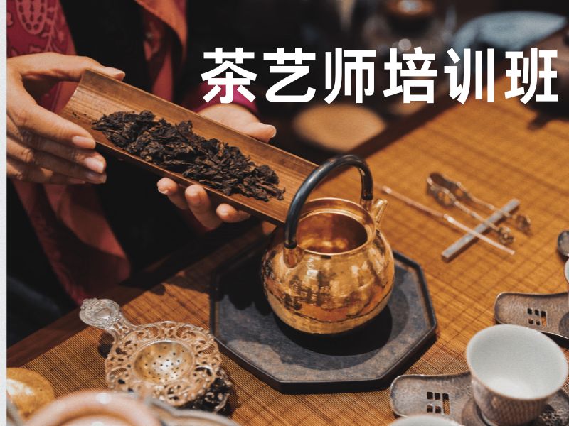 2025深圳学茶艺哪里有培训？茶艺师培训班前五排名一览