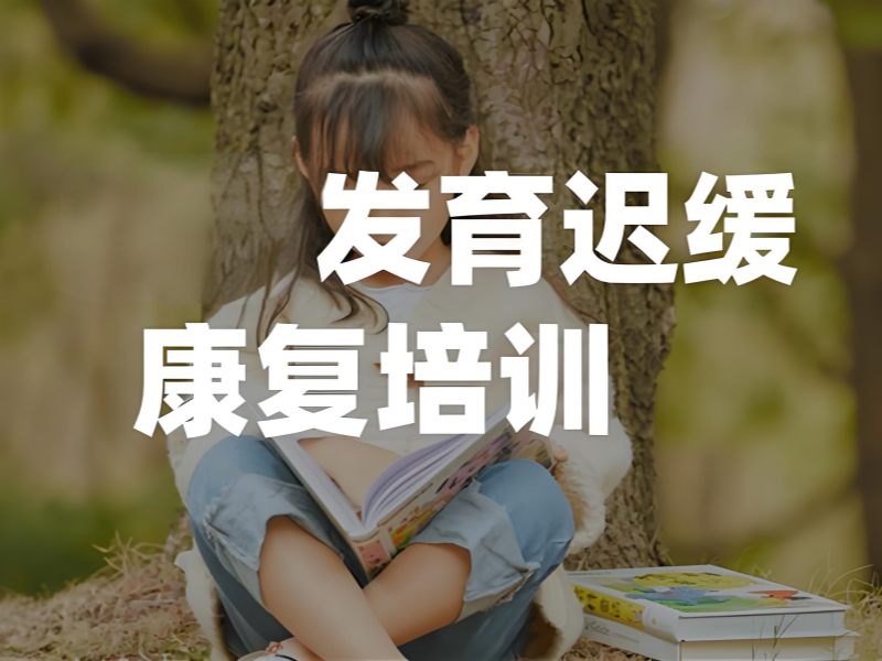 2025重庆发育迟缓康复机构哪里有?儿童发育迟缓康复班前5排名一览