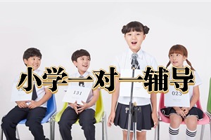 2025 苏州小学一对一辅导班怎么挑？辅导机构排名前五一览
