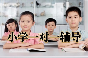 2025 苏州相城区附近哪有小学一对一辅导班？辅导机构排名第四一览