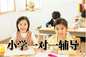 2025 苏州小学一对一辅导机构选哪家？辅导机构排名前三一览