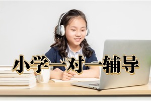 2025 北京小学一对一辅导机构 TOP3 排名一览，家长择校技巧是什么？