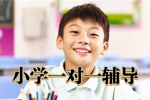2025北京小学 1 对 1 辅导机构前四排名一览，小升初衔接辅导选哪家？