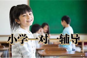 2025北京一对一小学辅导机构前六排名一览，阅读写作提升选哪个机构？