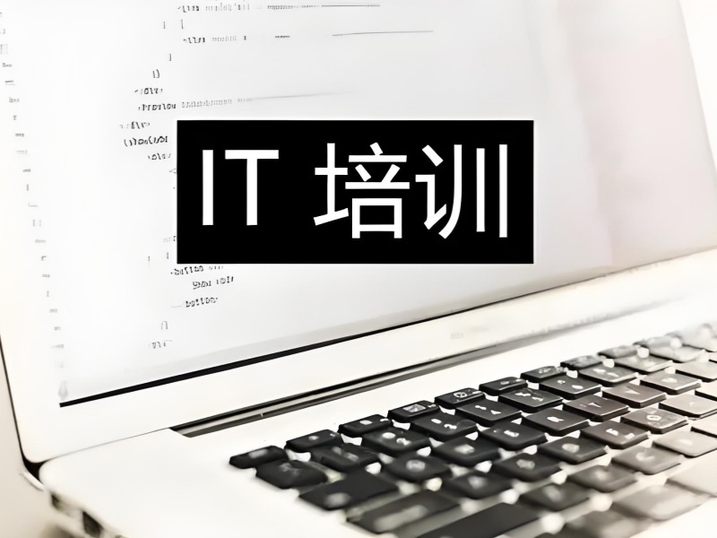 2025 上海 it 培训机构有哪些？IT 培训班前五排名一览