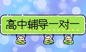 2025 国内线上高中辅导机构 TOP6 排名一览，高三百日冲刺班怎么挑？