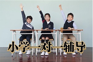 2025 南京小学辅导机构 TOP6 排名一览，一对一辅导费用多少钱？
