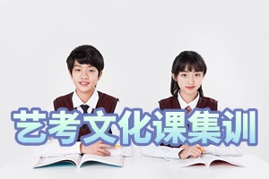 2025佛山艺考文化课培训学校前五一览，哪个小班辅导更专业?