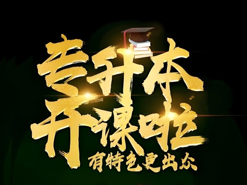 2025合肥专升本培训课程怎么样？专升本培训机构TOP3排名一览