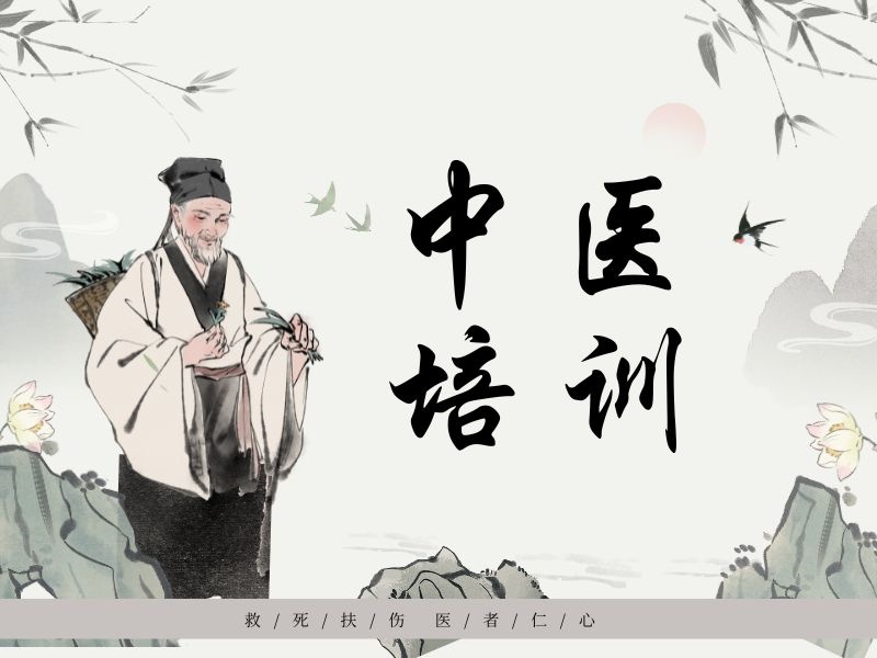 2025西安想学中医报哪个培训班好？中医培训机构前三排名一览