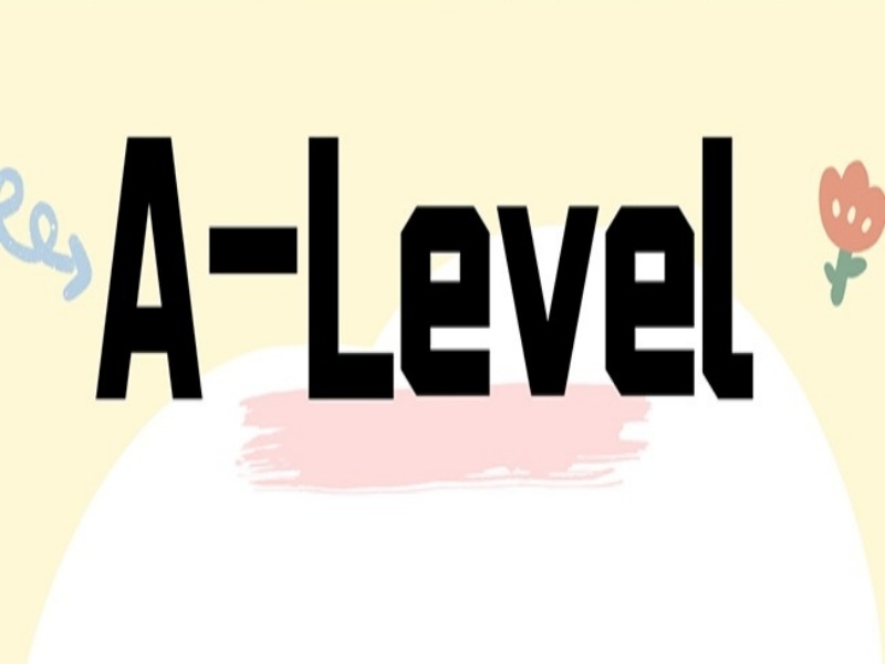 2025珠海A-level考试培训班哪家口碑好？A-level培训机构前四排名一览