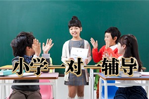 2026杭州小学辅导机构 TOP3 排名指南，哪家小班课互动更强？
