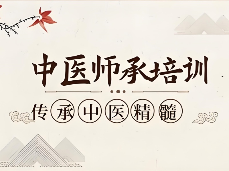 2026杭州中医师承培训机构哪家口碑佳？培训机构前三排名一览