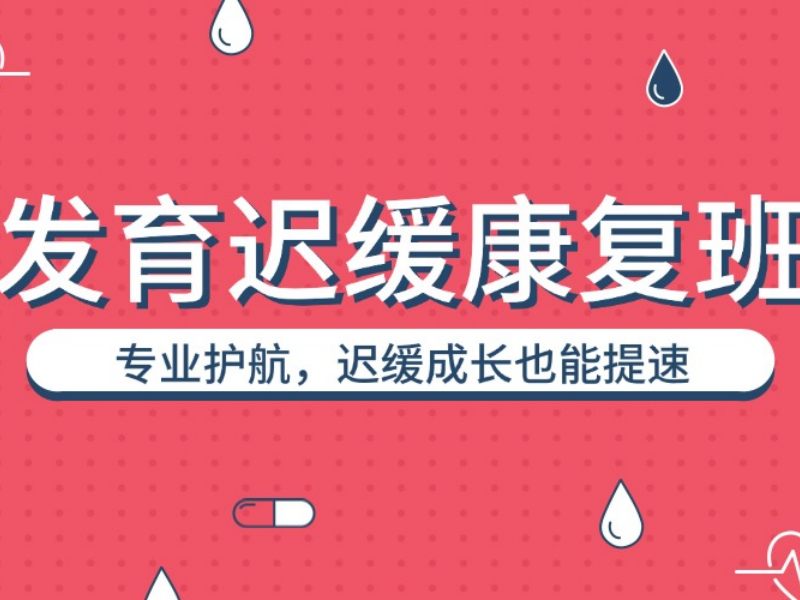 2026重庆发育迟缓障碍哪里有训练机构？发育迟缓康复班TOP6排名一览