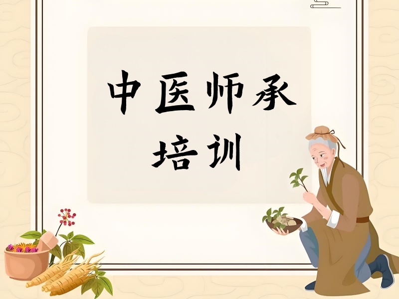 2026西安中医师承培训师资怎么样？中医培训机构前五排名一览
