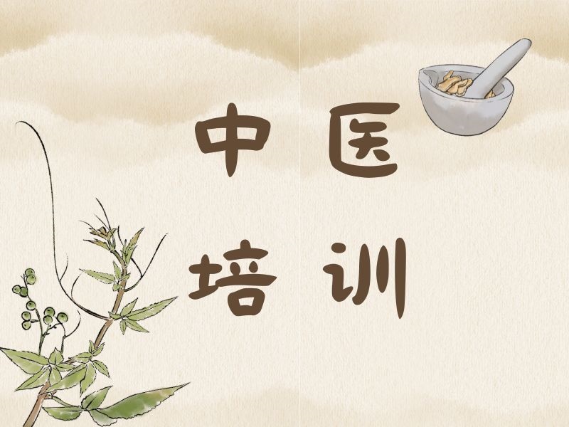 2026西安中医推拿培训选哪家正规？中医培训机构前三排名一览