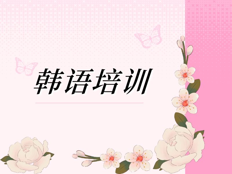 2026武汉韩语入门培训选哪家靠谱？培训机构TOP5排名一览